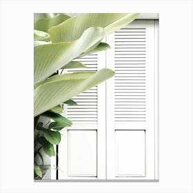 White Shutters Canvas Print