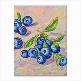 Blueberry Vintage Sketch Fruit Canvas Print