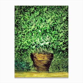 Green Plant In A Pot Canvas Print