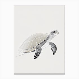 Hawksbill Sea Turtle (Eretmochelys Imbricata), Sea Turtle Minimal Line Drawing 1 Canvas Print