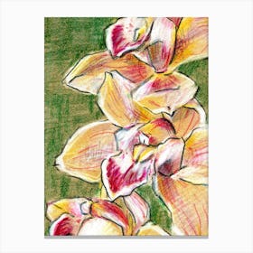 Yellow Orchids Canvas Print