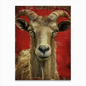 Goat On A Red Background Canvas Print