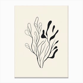 Seaweed Canvas Print