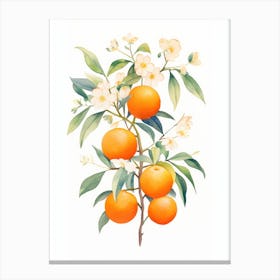 Oranges On A Branch 1 Canvas Print