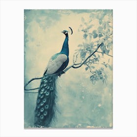Vintage Turquoise Peacock In A Tree Cyanotype Inspired2 Canvas Print