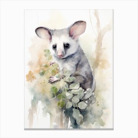Light Watercolor Painting Of A Eucalyptus Loving Possum 3 Canvas Print