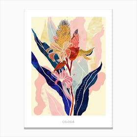 Colourful Flower Illustration Poster Celosia 1 Canvas Print