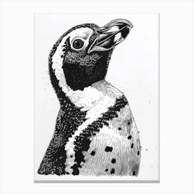 African Penguin Staring Curiously 2 Canvas Print