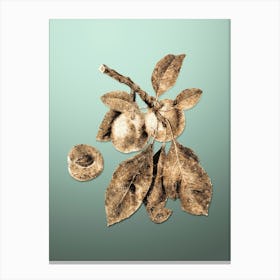 Gold Botanical Prune on Mint Green n.2668 Canvas Print
