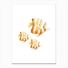 Three Orange And White Fish Canvas Print