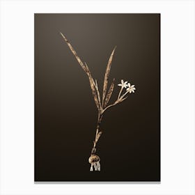 Gold Botanical Gladiolus Inclinatus on Chocolate Brown n.2580 Canvas Print