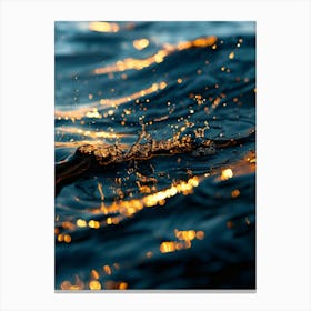Water Splashes At Sunset Canvas Print