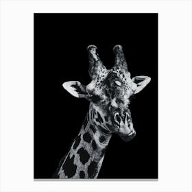 Giraffe 1 Canvas Print