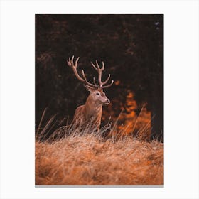 Warm Autumn Deer Canvas Print