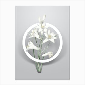 Vintage St. Bruno's Lily Minimalist Floral Geometric Circle on Soft Gray n.0375 Canvas Print
