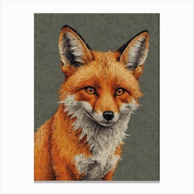 Red Fox 1 Canvas Print