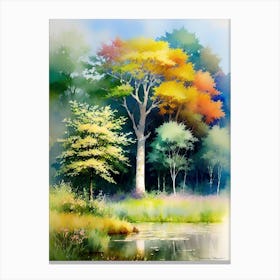 Trees By The Pond Canvas Print