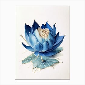 Blue Lotus Watercolour Ink Pencil 4 Canvas Print
