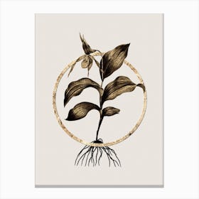 Gold Ring Yellow Lady's Slipper Orchid Glitter Botanical Illustration n.0344 Canvas Print