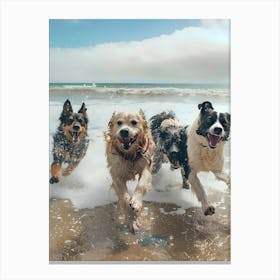 Dogs Running On The Beach Canvas Print