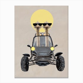 Ostriches In Dunebuggy Canvas Print