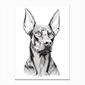 Doberman Pinscher Dog, Line Drawing 2 Canvas Print