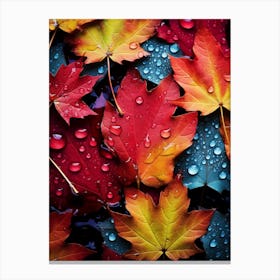 Autumn Leaves Canvas Print