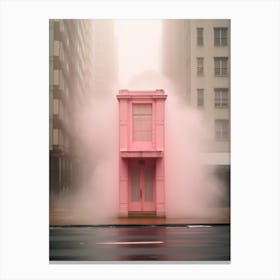 Pink House Canvas Print