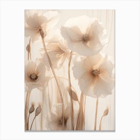 Boho Dried Flowers Poppy 7 Canvas Print