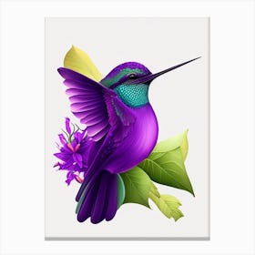 Violet Crowned Hummingbird Cute 2 Canvas Print