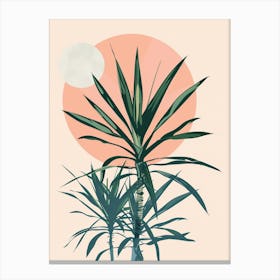 Dracaena Plant Minimalist Illustration 3 Canvas Print