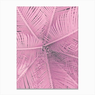 Palm Pastel Pink Canvas Print