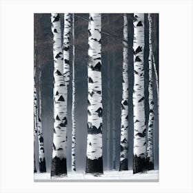 Birch Trees In Winter 2 Canvas Print