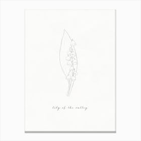 Lily Of The Valley Line Drawing 1 Canvas Print
