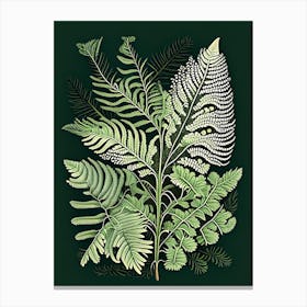 Lady Fern Wildflower Vintage Botanical 1 Canvas Print