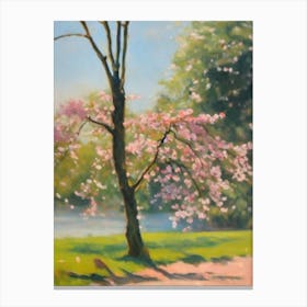 Flowering Cherry Tree Watercolour Canvas Print