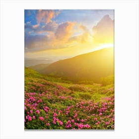 Pink Flowers In The Mountains 1 Canvas Print