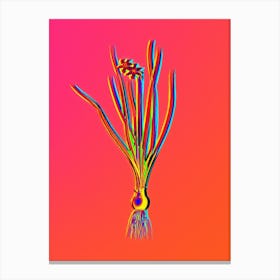 Neon Rush Leaf Jonquil Botanical in Hot Pink and Electric Blue n.0208 Canvas Print