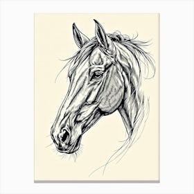 Vintage Horse Portrait Canvas Print