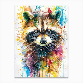 Raccoon Colourful Watercolour 4 Canvas Print
