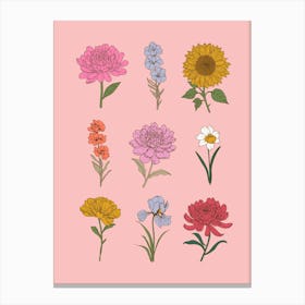 Flowers On A Pink Background Canvas Print