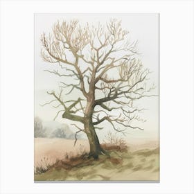 Alder Tree Atmospheric Watercolour Painting 7 Canvas Print