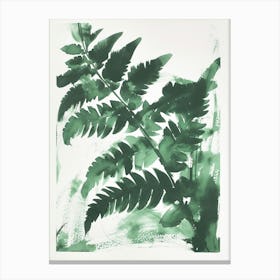 Green Ink Painting Of A Ribbon Fern 4 Canvas Print