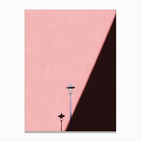 Light And Line Canvas Print