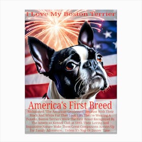 The Boston Terrier, America's Breed ~Reimagined 1 Canvas Print