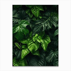 Tropical Leaves Background 3 Canvas Print