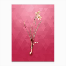 Vintage Narcissus Calathinus Botanical in Gold on Viva Magenta n.0142 Canvas Print