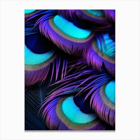 Peacock Feathers 3 Canvas Print