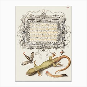 Scorpionfly, Insect, Lizard, And Insect Larva From Mira Calligraphiae Monumenta, Joris Hoefnagel Canvas Print