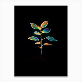 Plant On A Black Background 8 Canvas Print